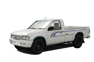 قیمت زامیاد شوکا