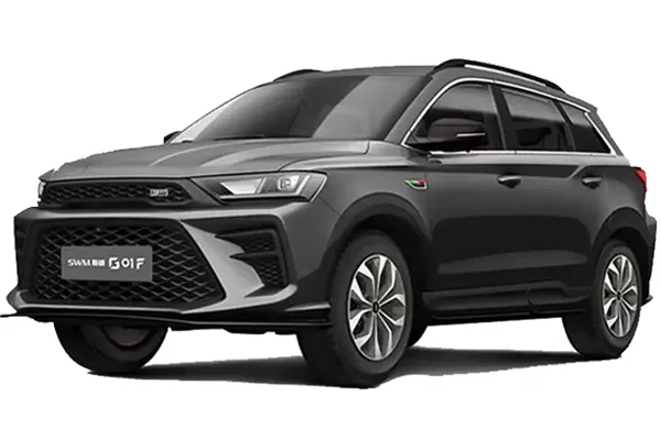 قیمت اس دبلیو ام G01F اتوماتیک
