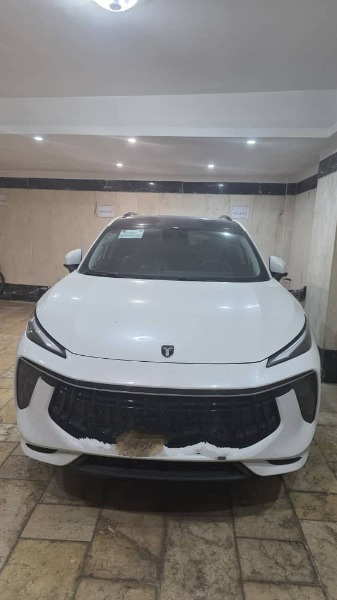 تصویر لاماری ایما 4