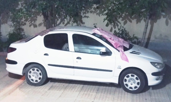 تصویر پژو 206 SD V2 دوگانه 2