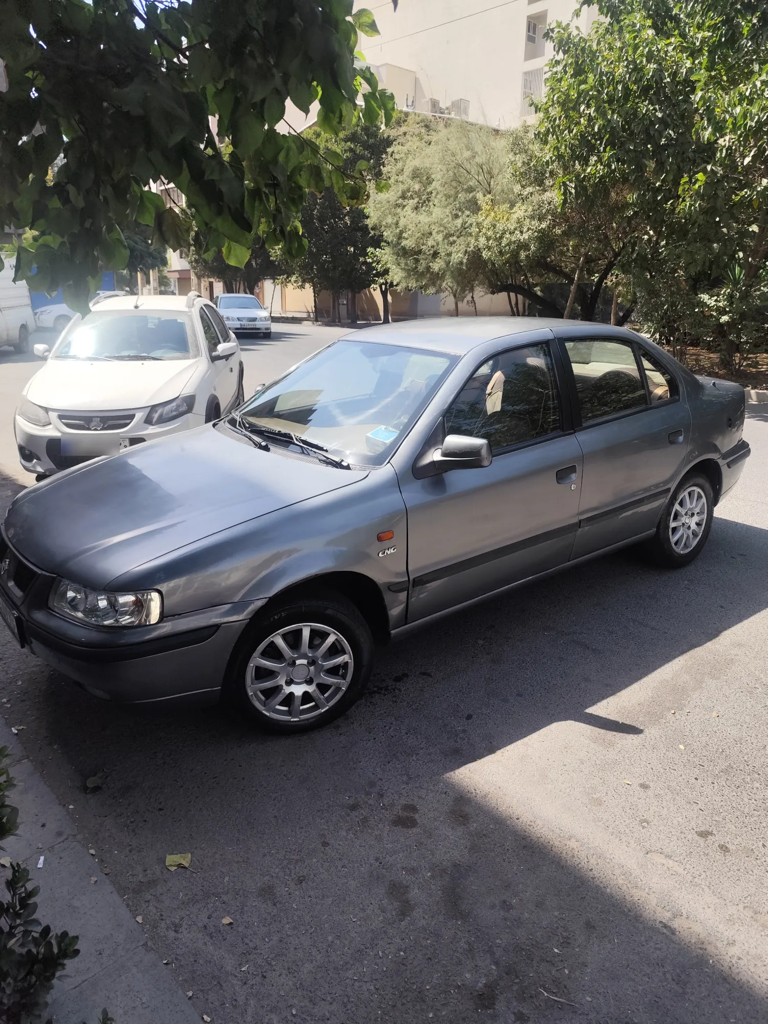 تصویر سمند LX دوگانه 2