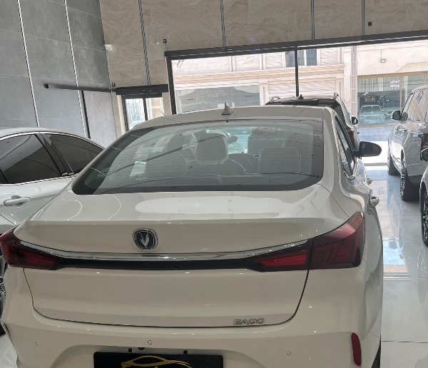 تصویر چانگان ایدو EV460 برقی 4