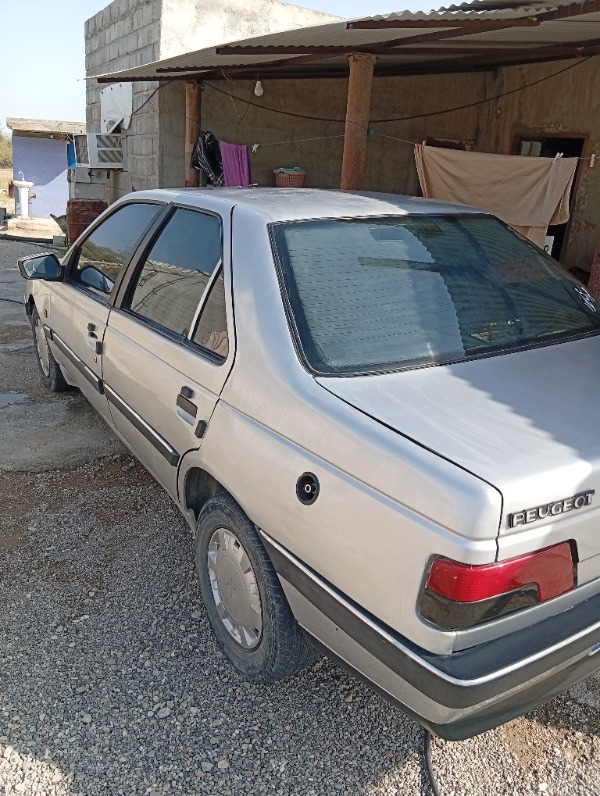 تصویر پژو 405 GLX دوگانه 1