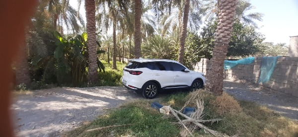 تصویر فونیکس تیگو 7 پرو پریمیوم 1