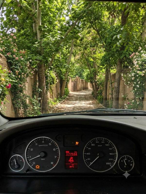 تصویر سمند LX 6