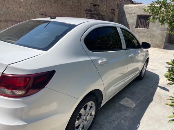 تصویر شاهین دنده ای G 3