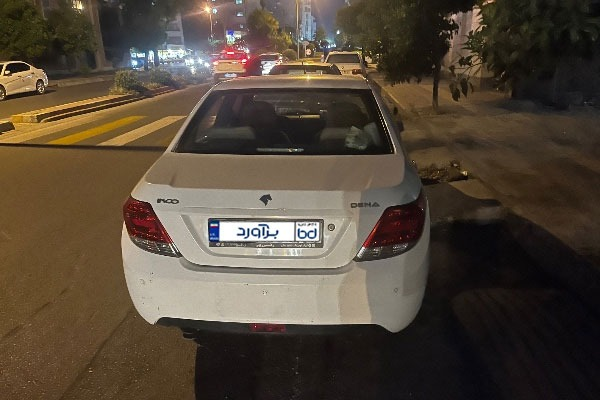 تصویر دنا ساده تیپ 2 4